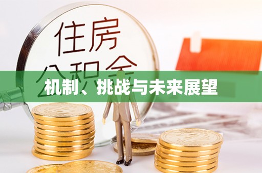 毕节机制、挑战与未来展望