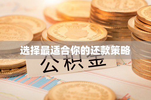 毕节选择最适合你的还款策略