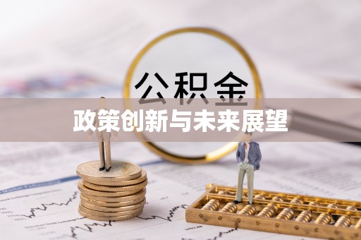 毕节政策创新与未来展望