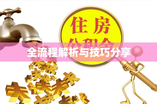 毕节全流程解析与技巧分享