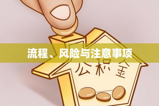 毕节流程、风险与注意事项