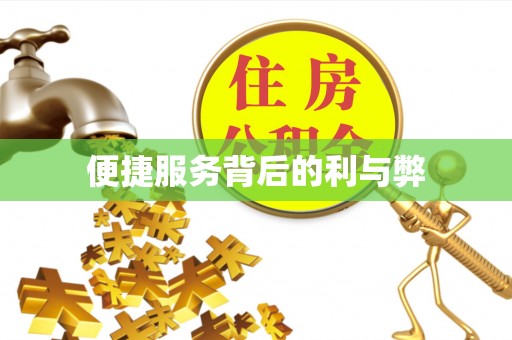 毕节便捷服务背后的利与弊