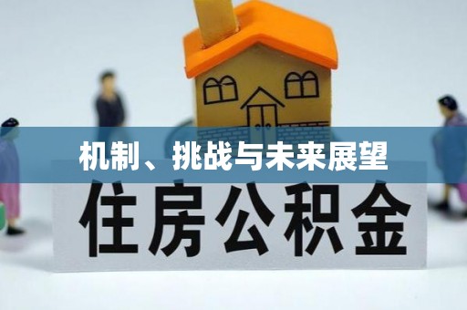 毕节机制、挑战与未来展望